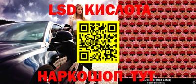 стафф Заводоуковск