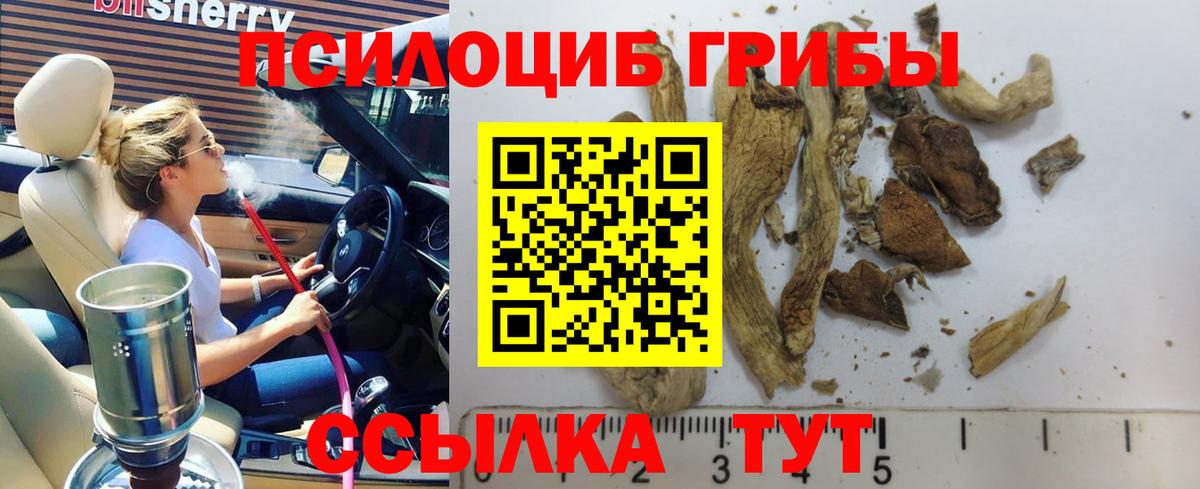 купить  сайты  Вход с VPN  Майский  Галлюциногенные грибы MAGIC MUSHROOMS 