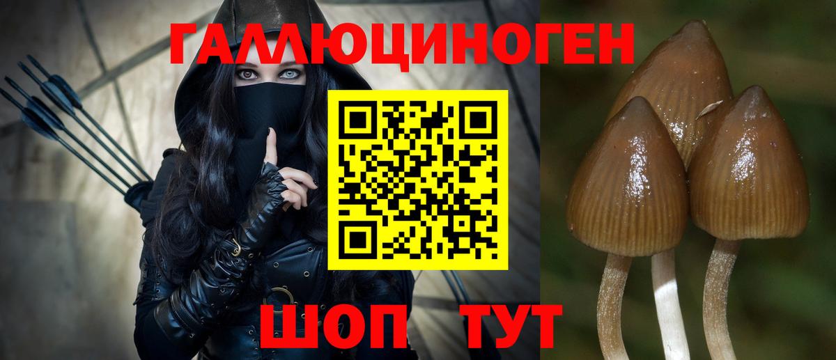 ГАШИШ Майский